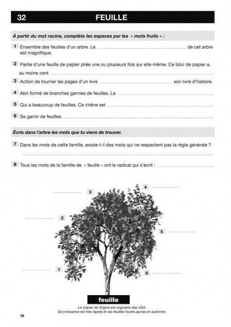 L'arbre aux mots