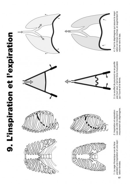 Biologie humaine