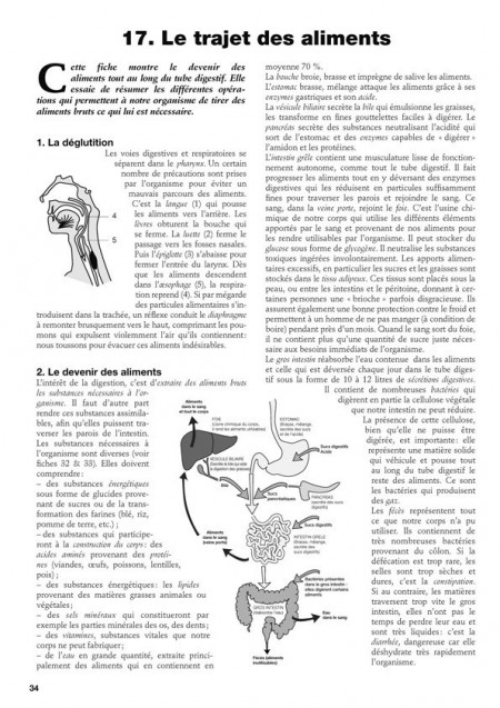 Biologie humaine