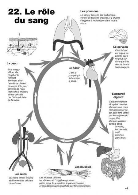 Biologie humaine