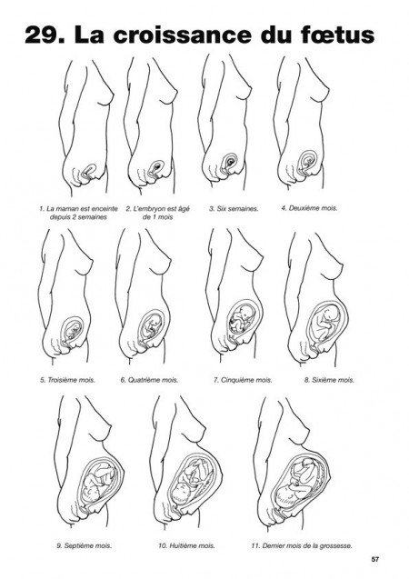 Biologie humaine