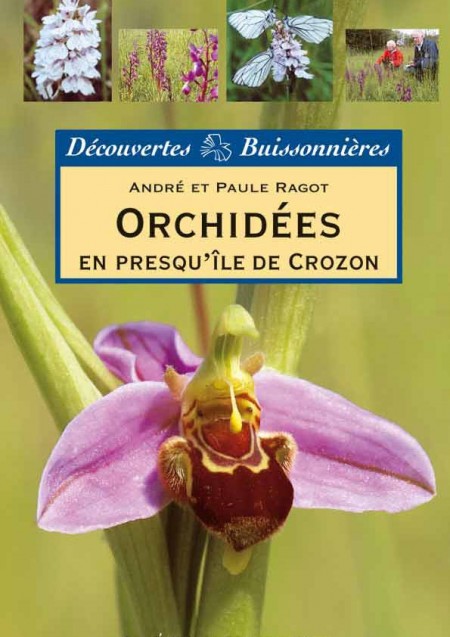 Orchidées en Presqu'île de Crozon