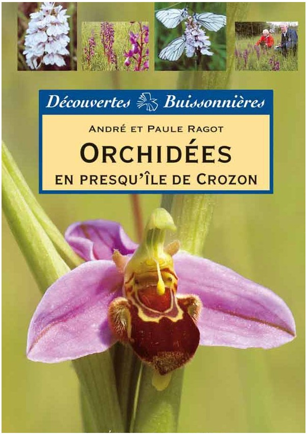 Orchidées en Presqu'île de Crozon