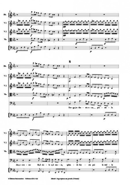 Handel : Sorge infausta una procella  (Orlando), chant et orchestre