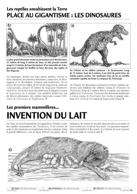 La Gazette de la Terre - Histoire au cycle 3, volume 1.