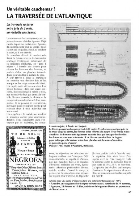 La gazette de la terre - Histoire au cycle III - volume 3