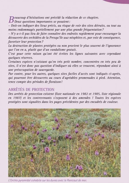 Orchidées en Presqu'île de Crozon